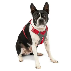 Kurgo - Harnais "Journey Air" Rouge pour Chiens