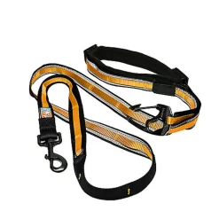 Kurgo - Laisse Main Libre "Quantum" pour Chiens