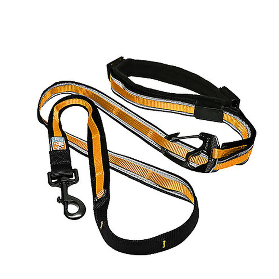 Kurgo - Laisse Main Libre "Quantum" pour Chiens