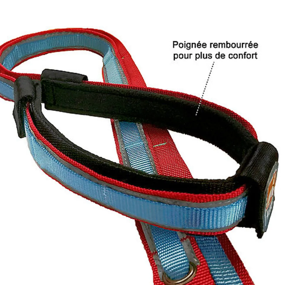 Kurgo - Laisse Main Libre "Quantum" pour Chiens