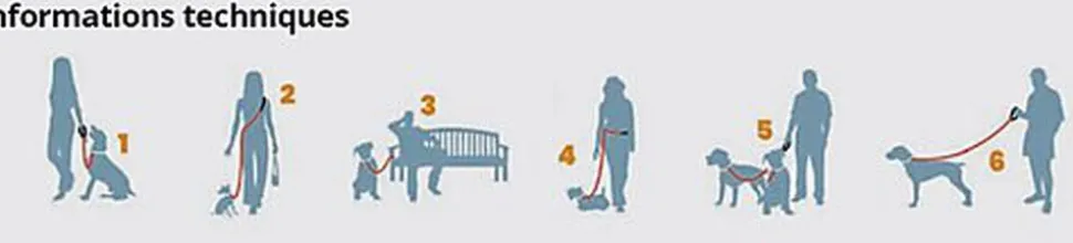 Kurgo - Laisse Main Libre "Quantum" pour Chiens