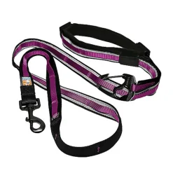 Kurgo - Laisse Min Libre "Quantum" pour Chiens - Framboise