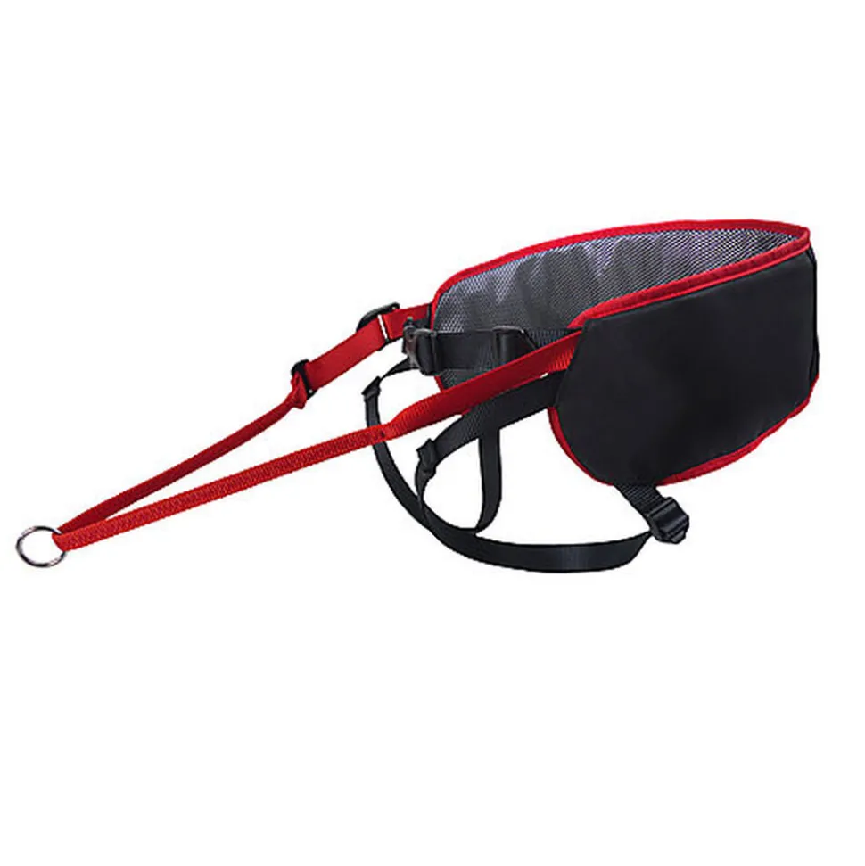 Kyflie - Harnais Baudrier Canicross LUDUS PERFORMANCE pour Chien