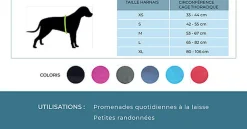 Kyflie - Harnais de promenade MOMENTUM Noir pour Chien