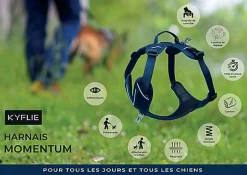 Kyflie - Harnais de promenade MOMENTUM Noir pour Chien