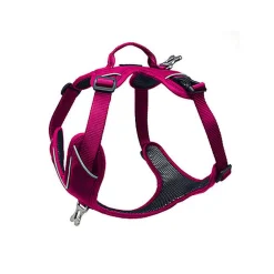 Kyflie - Harnais de promenade MOMENTUM Rose pour Chien