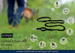 Kyflie - Laisse Ceinture élastique Anti-chocs OTIUM Noir pour Chien - 2,90m