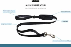 Kyflie - Laisse MOMENTUM Noir pour Chien - 1,10m