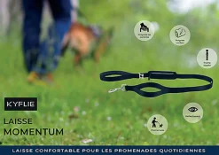 Kyflie - Laisse MOMENTUM Noir pour Chien - 1,10m