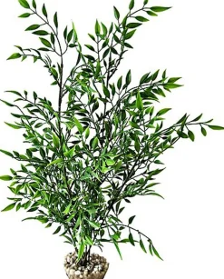 Labeo - Bambou grand modèle vert - Plante Artificielle Aquarium