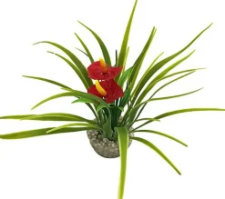 Labeo - Buisson fleur anthurium rouge - Plante Artificielle Aquarium