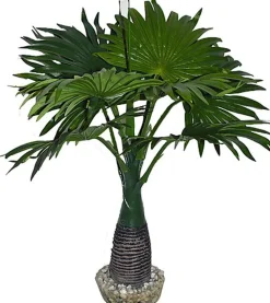 Labeo - Décor herbe Plante Artificielle Terrarium