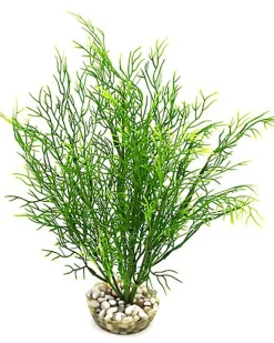 Labeo - Décoration Plante Artificielle Salicorne pour Aquarium