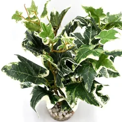 Labeo - Décoration Plante Verte Artificielle pour Aquarium