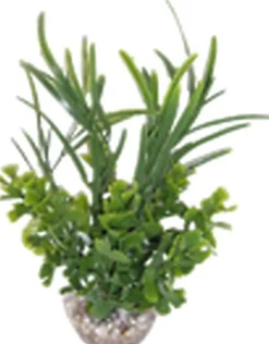 Labeo - Herbe papillon - Plante Artificielle Aquarium