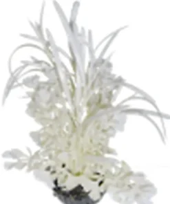 Labeo - Herbe papillon - Plante Artificielle Aquarium