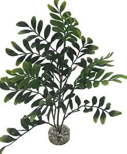 Labeo - Plante Décorative Arbre Longues Feuilles pour Aquarium