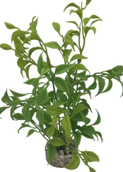 Labeo - Plante Décorative Herbe Vert clair pour Aquarium