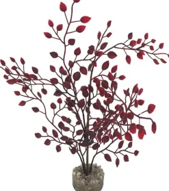 Labeo - Plante Décorative Herbe Fine pour Aquarium