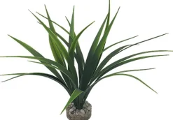 Labeo - Plante Décorative Herbe Marine pour Aquarium