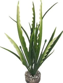 Labeo - Plante Décorative Herbe Marine pour Aquarium