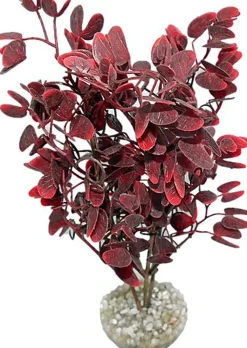 Labeo - Plante Décorative Micranthenum BGY pour Aquarium