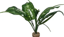 Labeo - Plante Verte Assortie Décorative pour Terrarium