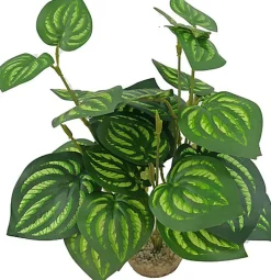 Labeo - Plante Verte Assortie Décorative pour Terrarium