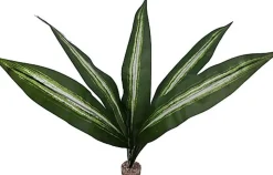 Labeo - Plante Verte Décorative pour Terrarium - GM