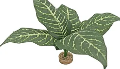 Labeo - Plante Verte Décorative pour Terrarium - GM