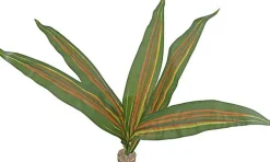 Labeo - Plante Verte Décorative pour Terrarium - GM