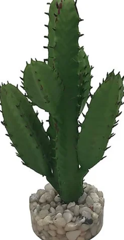 Labeo - Succulente moyen modèle Plante Artificielle Aquarium et Terrarium