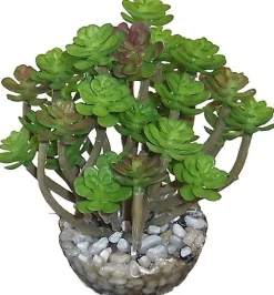 Labeo - Succulente moyen modèle Plante Artificielle Aquarium et Terrarium