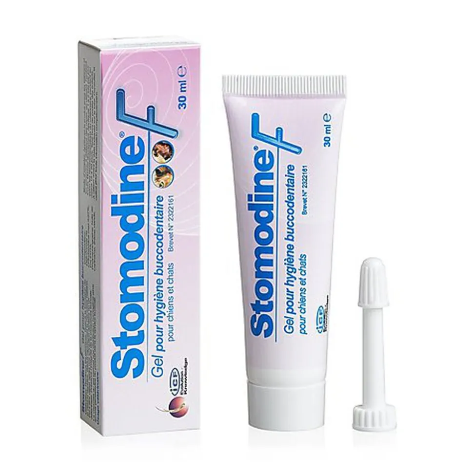 LDCA - Gel Buccodentaire Stomodine pour Chiens et Chats - 30m
