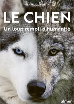 Le Chien, un loup rempli d'humanité
