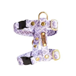 Le Muso - Harnais Tara Parme pour Chat