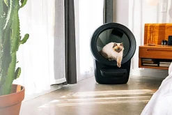 Litter-Robot 4 Litière Automatique pour Chats Noir