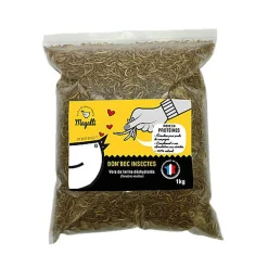 Magalli - Vers de farine Déshydratés Bon'Bec Insectes pour Poules - 1kg