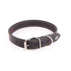 Martin Sellier - Collier Flash Noir/Orange pour Chiens