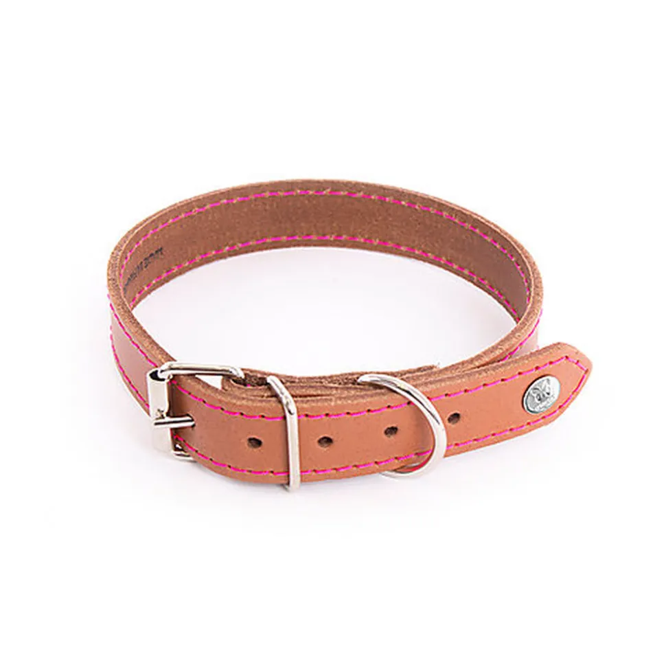 Martin Sellier - Collier Flash Cognac/Rose pour Chiens
