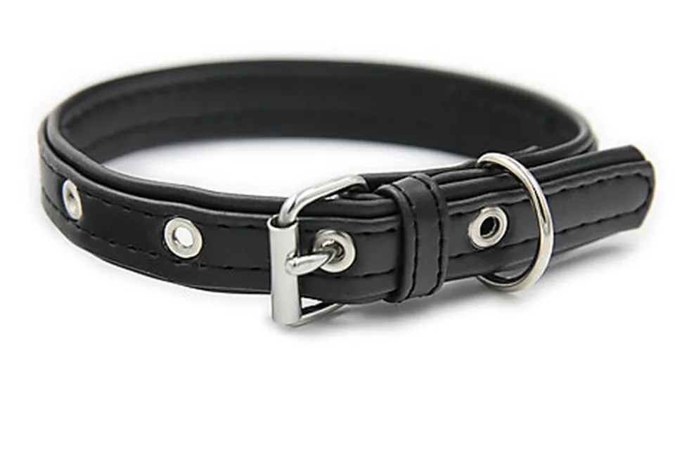 Matteo - Collier Cuir de Cactus Noir pour Chiens