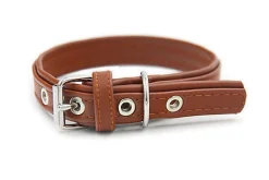 Matteo - Collier Cuir de Cactus Marron pour Chiens