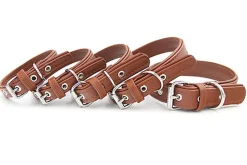 Matteo - Collier Cuir de Cactus Marron pour Chiens