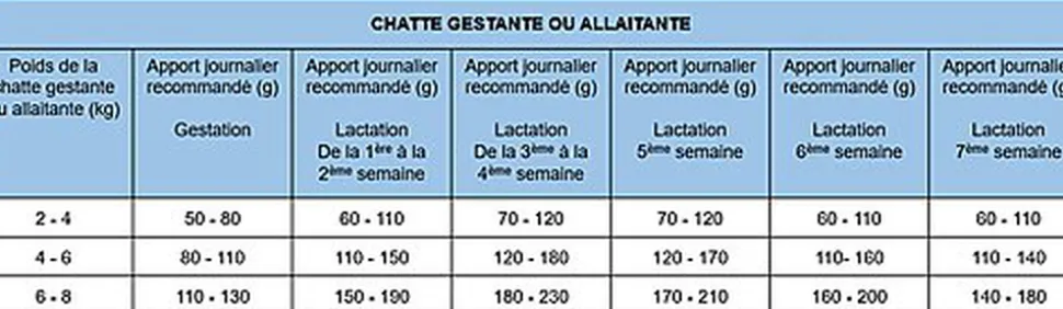 Nath - Croquettes pour Chatte et Chaton - 2Kg