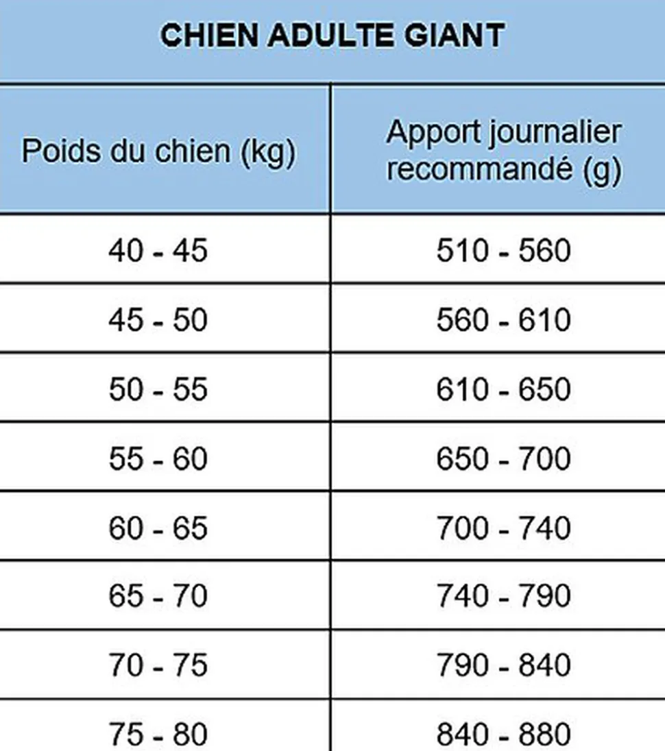 Nath - Croquettes pour Chien Adulte Giant - 12Kg