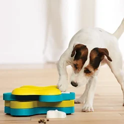 Nina Ottosson - Jeu Educatif Dog Tornado-Blu pour Chiens