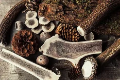 Nutrivia Nature Plus - Bois de Cerf Fendu pour Chien