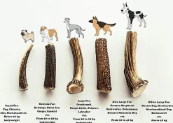 Nutrivia Nature Plus - Bois de Cerf Entier pour Chien