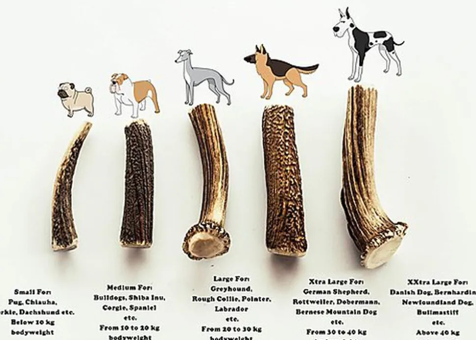 Nutrivia Nature Plus - Bois de Cerf Entier pour Chien