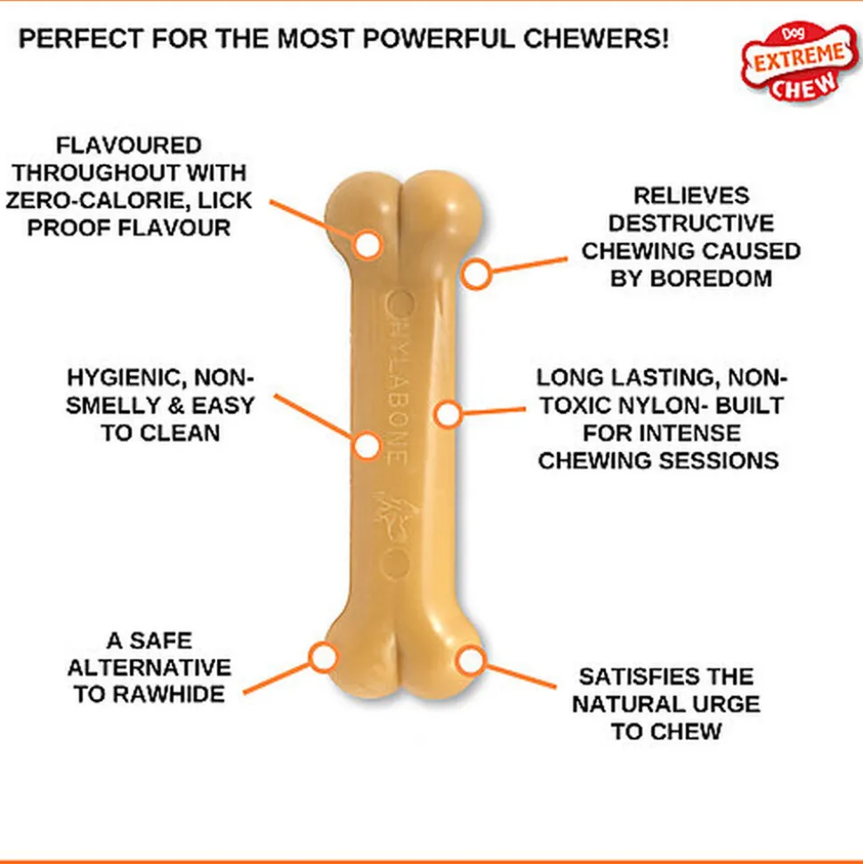 Nylabone - Jouet à Mâcher Extreme Bone Bacon